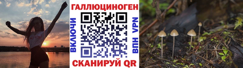 Галлюциногенные грибы ЛСД  купить  сайты  Когалым 