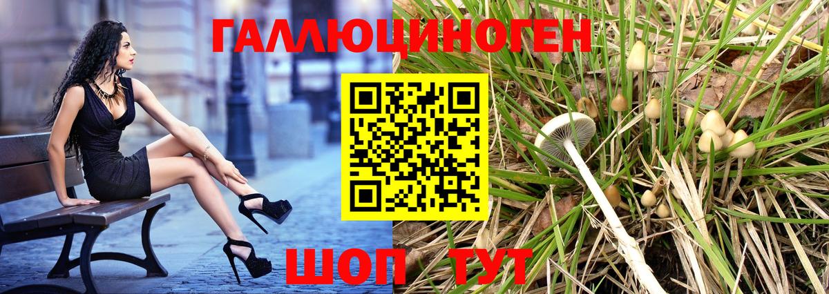 Когалым  Псилоцибиновые грибы Psilocybine cubensis  Вход с VPN 